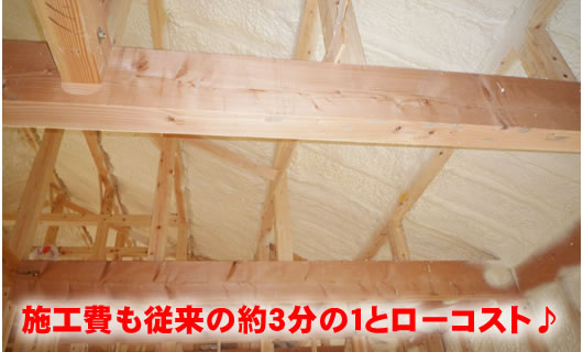 水から生まれた環境にやさしいエコ断熱材